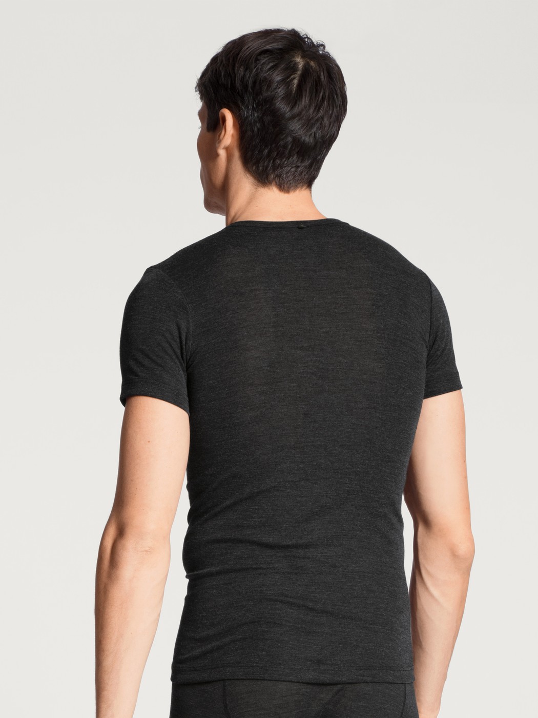 Men model is wearing T-shirt made of Wool in Blue, Unicoloured from the Wool & Silk series by CALIDA, Back view