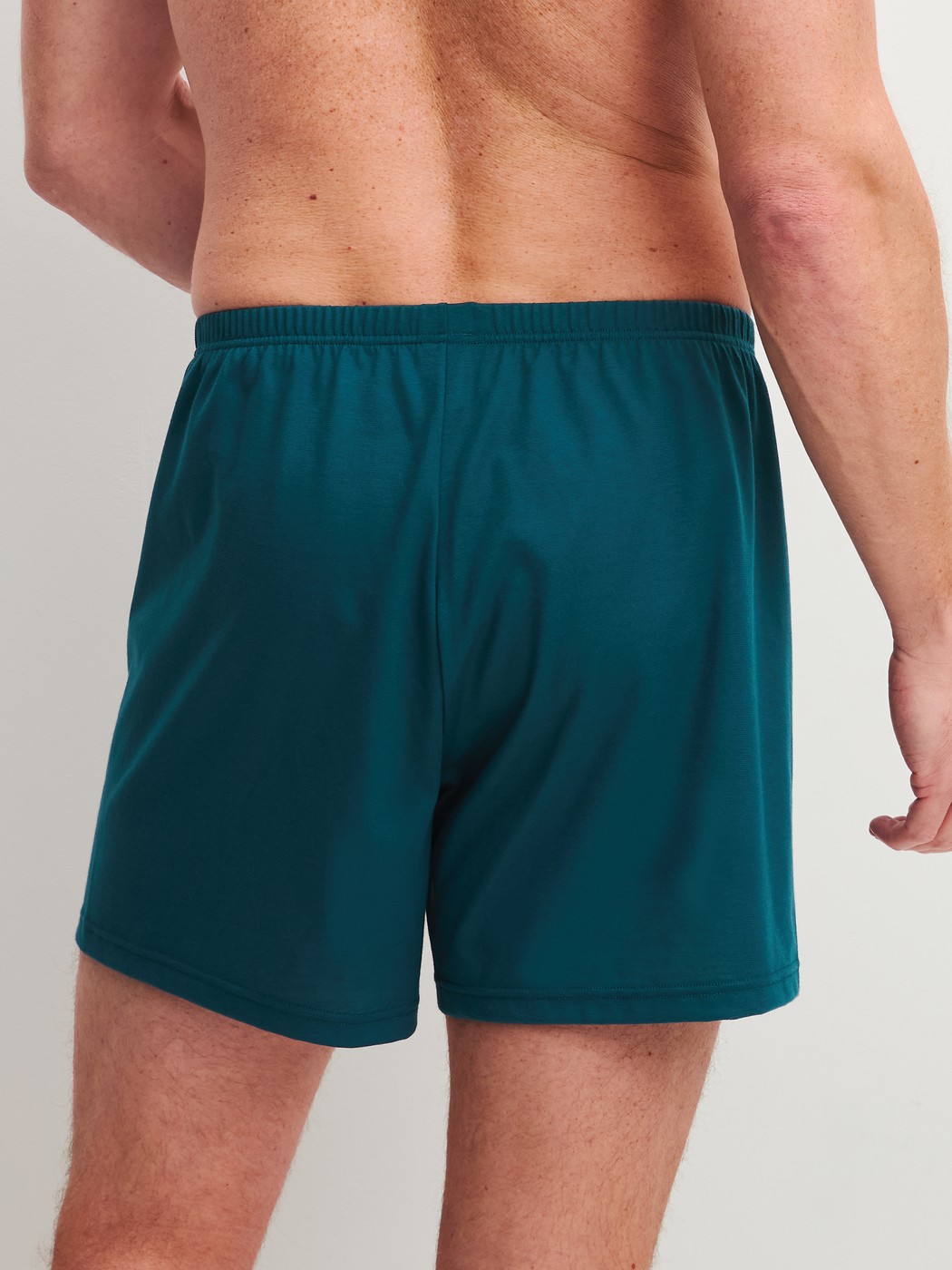 Le mannequin Homme porte le/la Boxershorts, lot de 2 en 100% coton de couleur Turquoise, À motifs, de la série Cotton Special de CALIDA, Vue arrière
