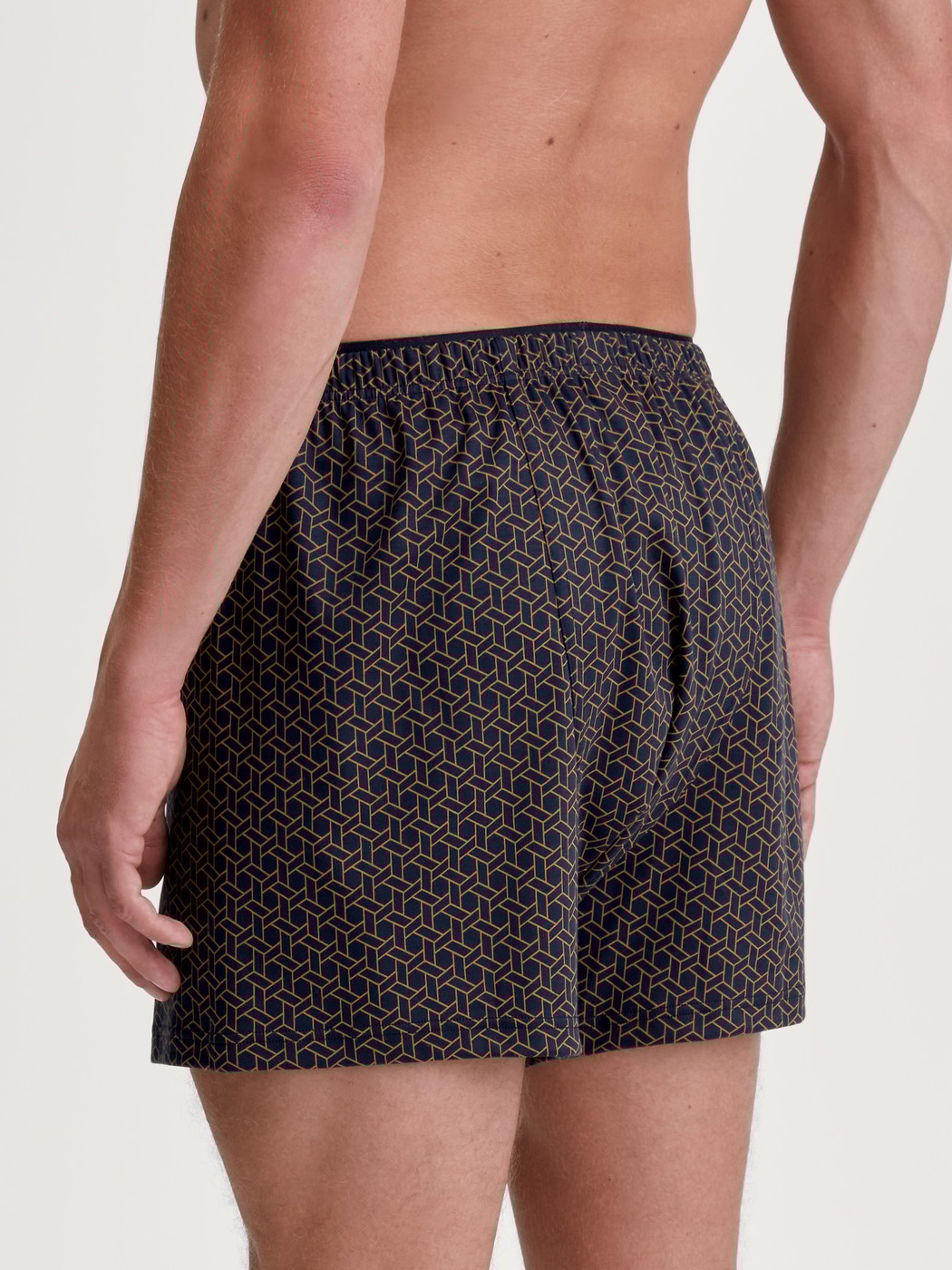 Herren-Model trägt Boxershorts aus 100% Baumwolle in Blau, Gemustert aus Serie Cotton Choice von CALIDA, Rückansicht