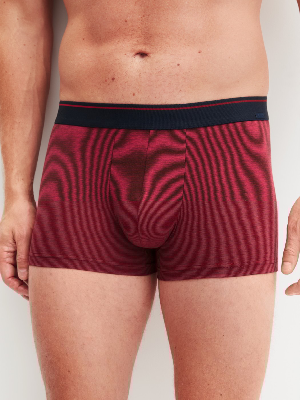 Le mannequin Homme porte le/la Boxer brief en Coton de couleur Rouge, Unicolore, de la série Cotton Stretch de CALIDA, Vue de face