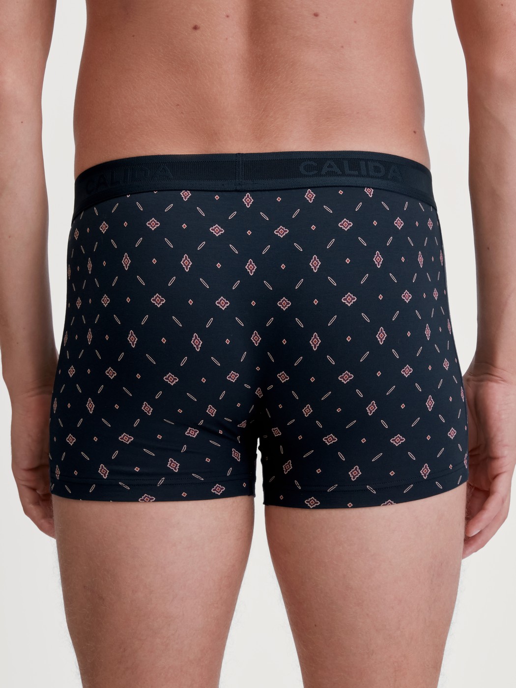 Herren-Model trägt Boxer Brief aus Baumwolle in Blau, Gemustert aus Serie Swiss Cotton Select von CALIDA, Rückansicht