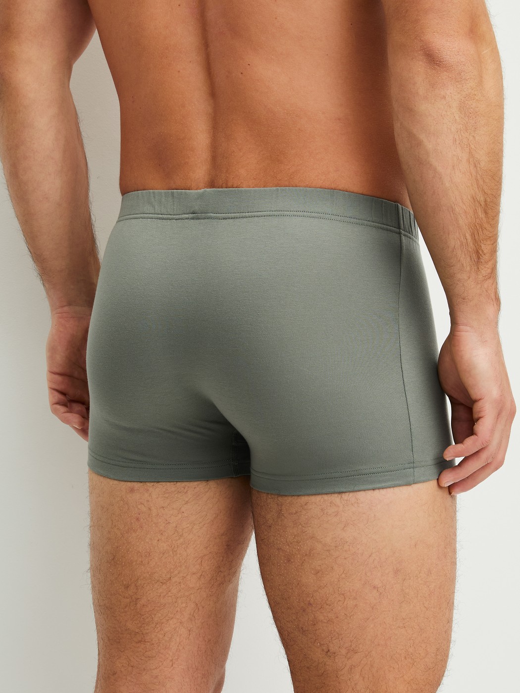 Men model is wearing Boxer brief made of Cotton in Green, Unicoloured from the Evolution series by CALIDA, Back view