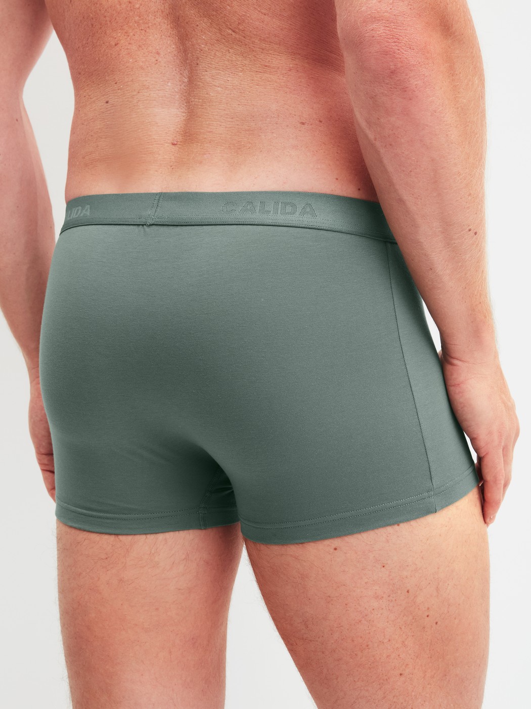 Men model is wearing Boxer brief made of Cotton in Green, Unicoloured from the Evolution series by CALIDA, Back view