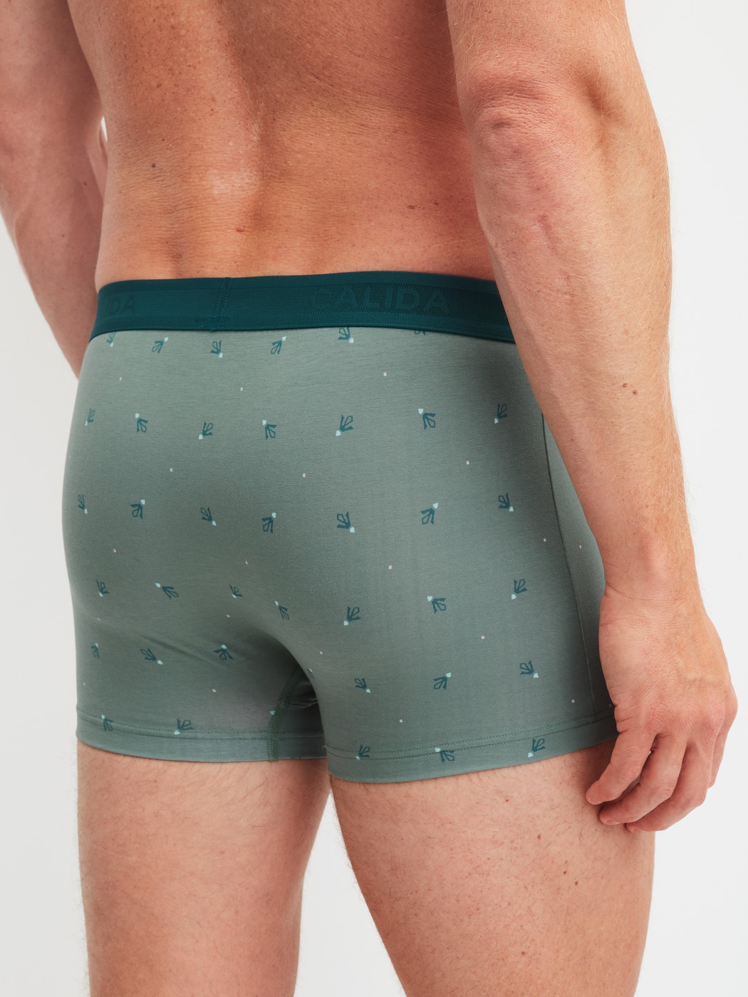 Herren-Model trägt Boxer Brief mit Softgummibund aus Baumwolle in Grün, Gemustert aus Serie Grafic Cotton von CALIDA, Rückansicht