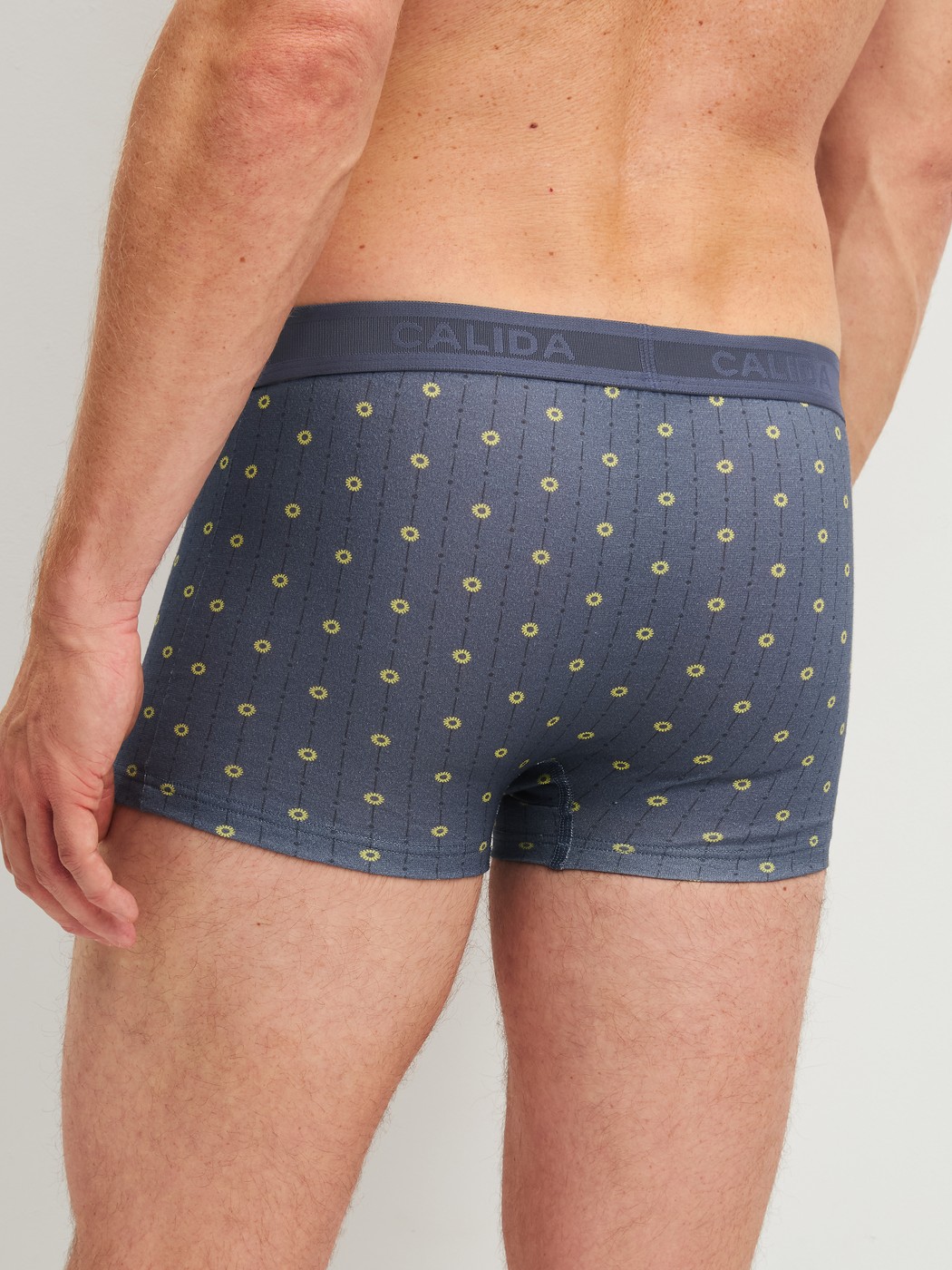 Men model is wearing Boxer brief made of Cotton in Grey, Patterned from the EDITION 85 series by CALIDA, Back view