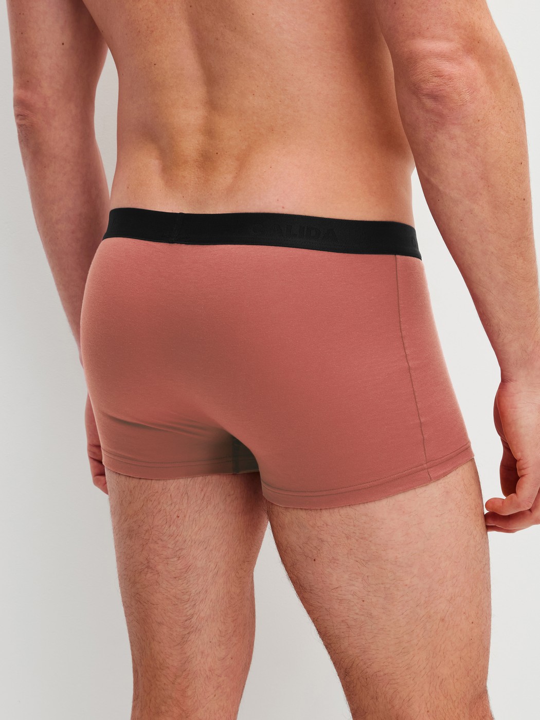 Herren-Model trägt Boxer Brief, 3er-Pack aus Baumwolle in Schwarz, Motiv aus Serie Cotton Special von CALIDA, Rückansicht