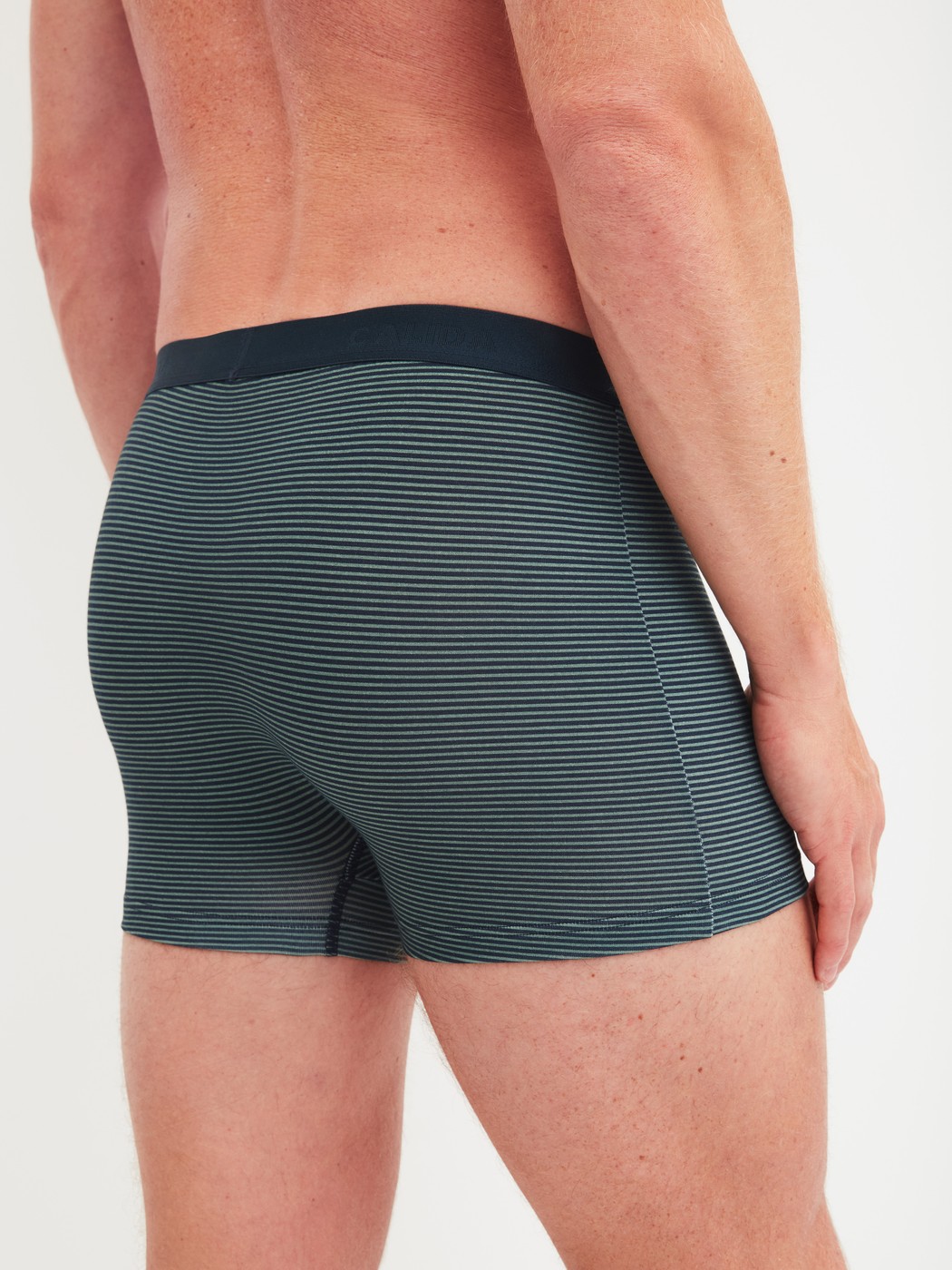 Herren-Model trägt Boxer Brief, 3er-Pack aus Baumwolle in Grün, Einfarbig aus Serie Cotton Special von CALIDA, Rückansicht