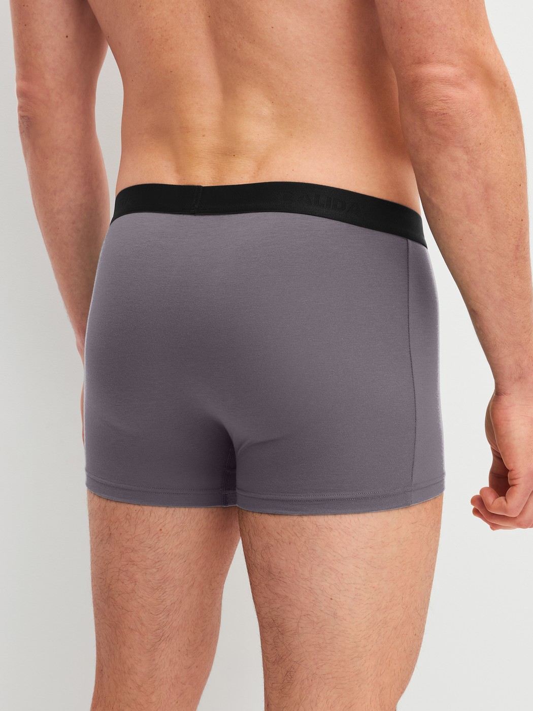 Men model is wearing Boxer Briefs, 3-Pack made of Cotton in Black, Unicoloured from the Cotton Special series by CALIDA, Back view