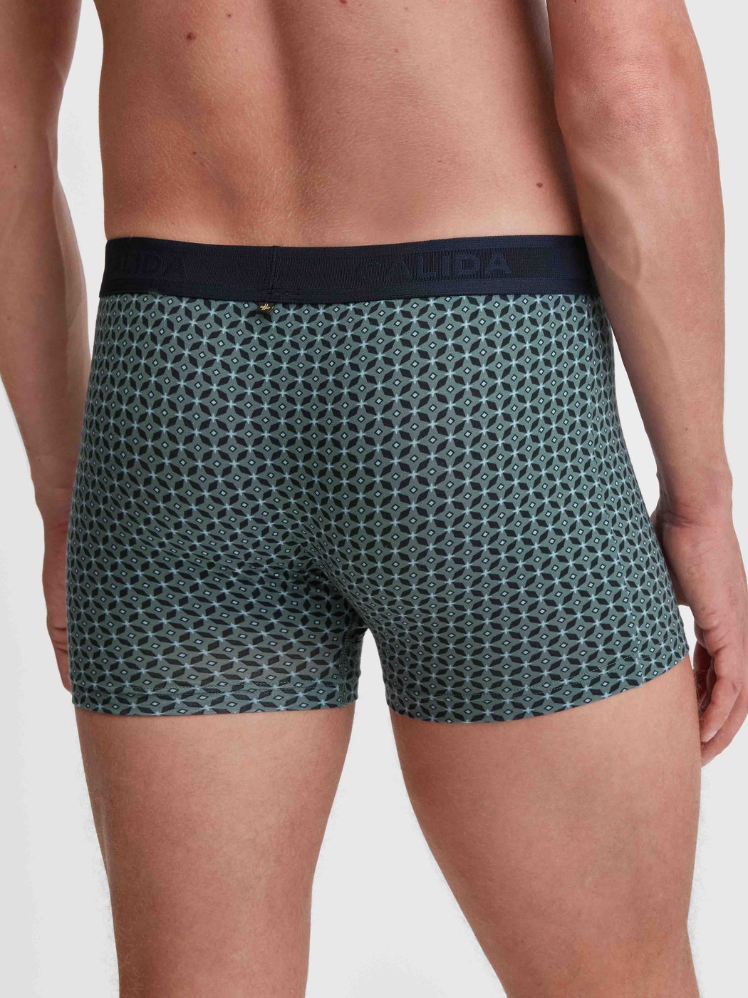 Herren-Model trägt Boxer Brief mit Softgummibund aus TENCEL™ in Grün, Gemustert aus Serie Focus Trend von CALIDA, Rückansicht