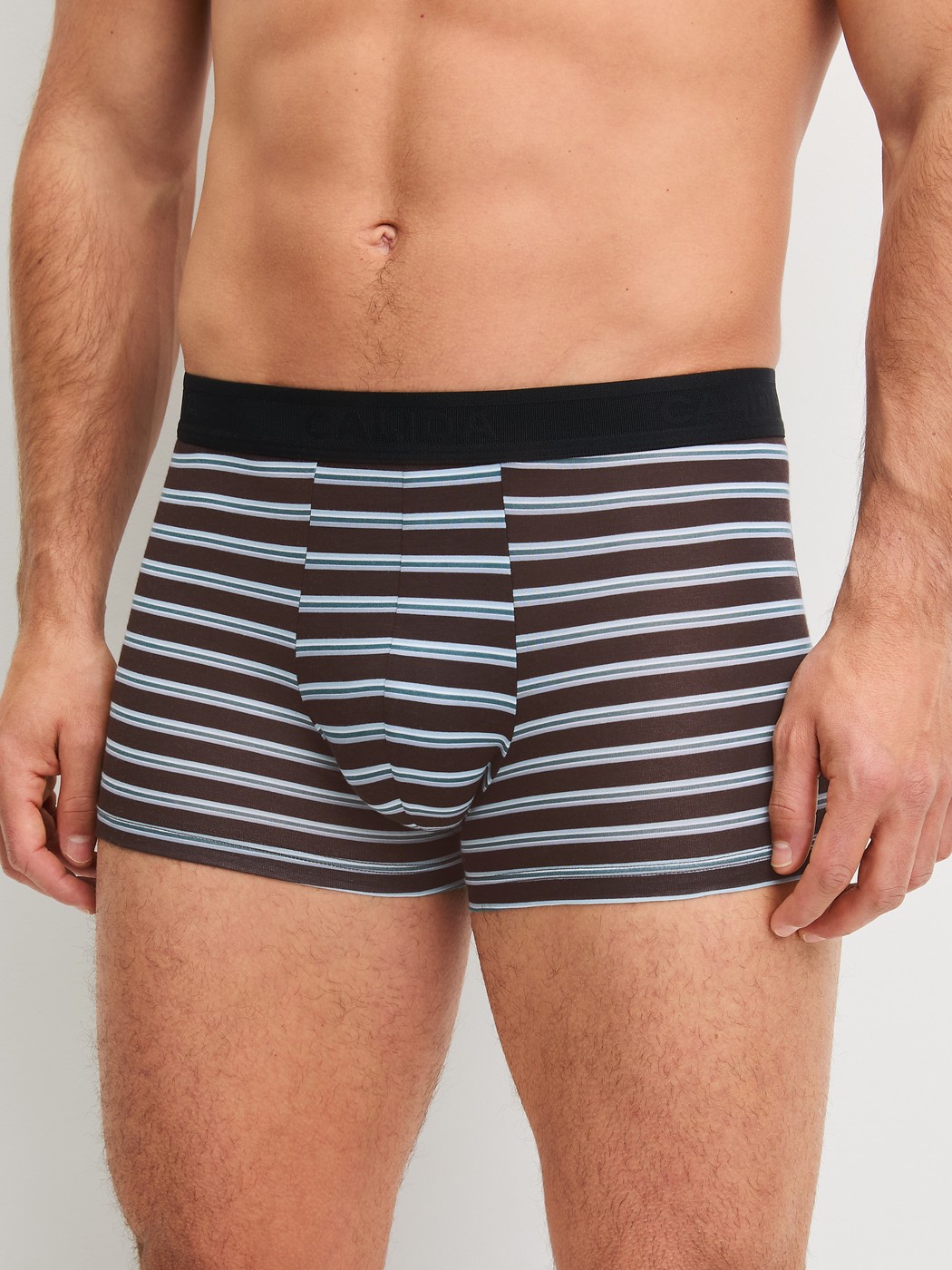 Herren-Model trägt Boxer Brief mit Softgummibund aus Lyocell in Braun, Gestreift aus Serie Focus Trend von CALIDA, Vorderansicht