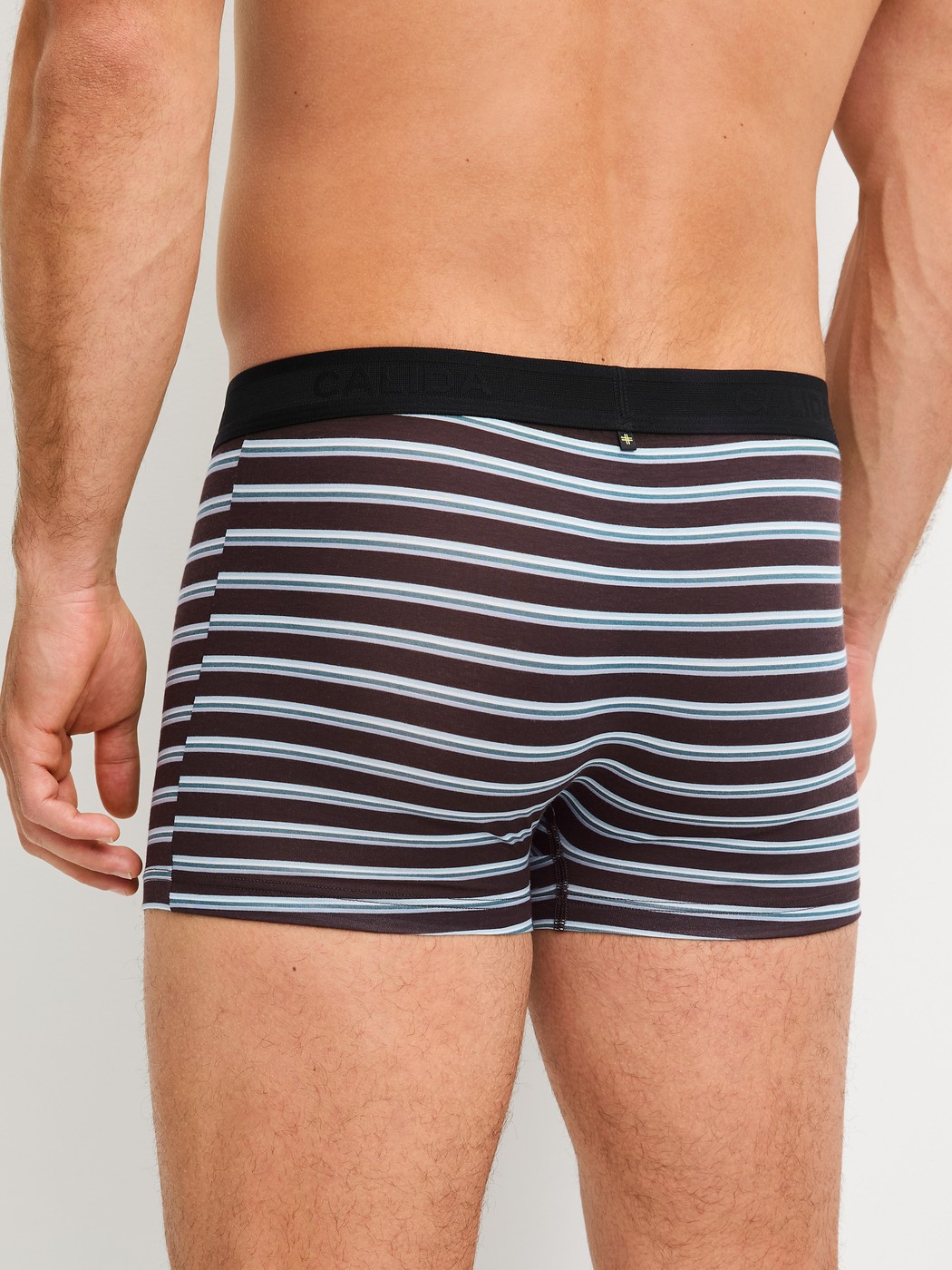 Herren-Model trägt Boxer Brief mit Softgummibund aus Lyocell in Braun, Gestreift aus Serie Focus Trend von CALIDA, Rückansicht