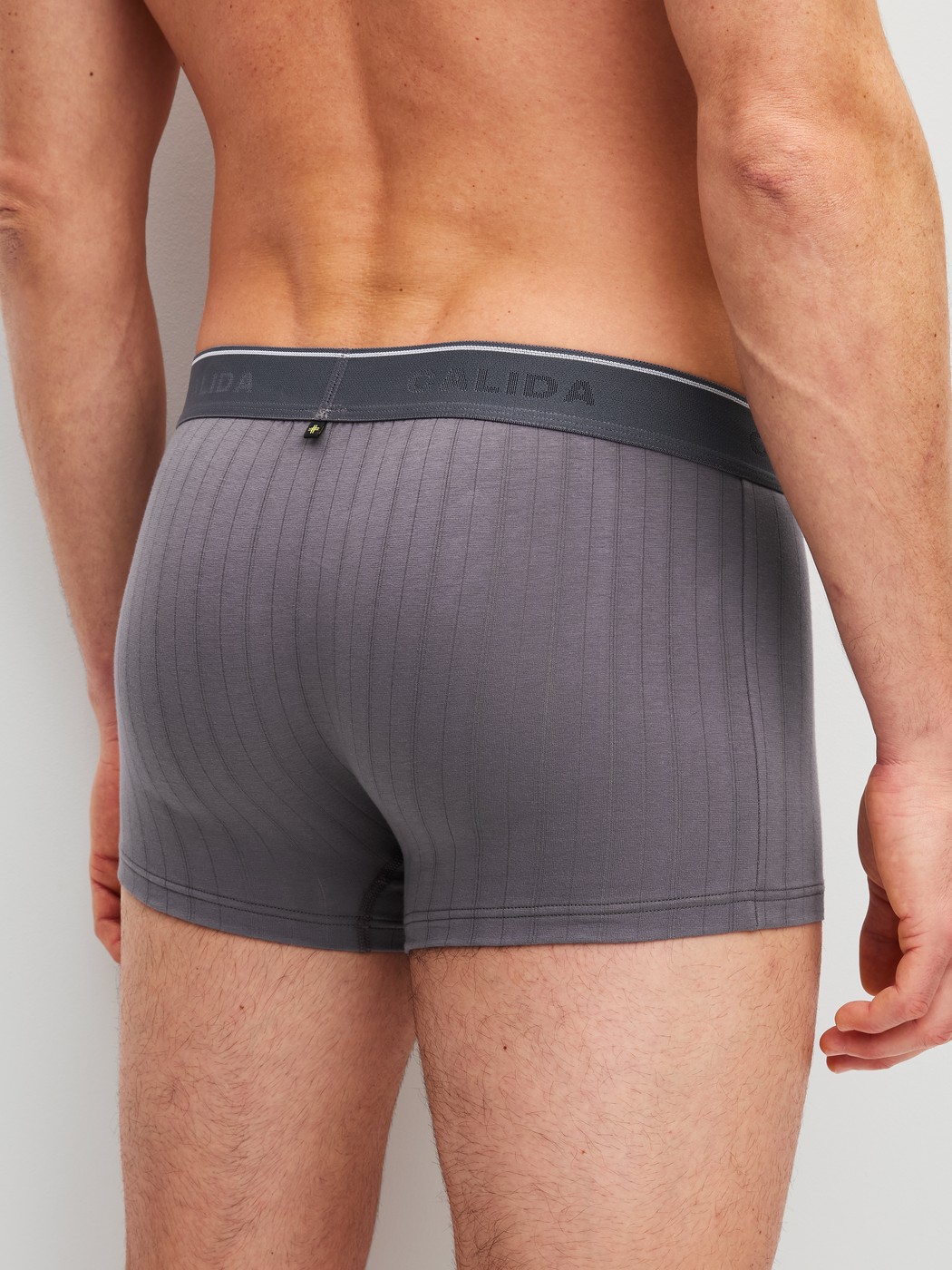 Men model is wearing Boxer brief, elastic waistband made of Cotton in Grey, Unicoloured from the Pure & Style series by CALIDA, Back view