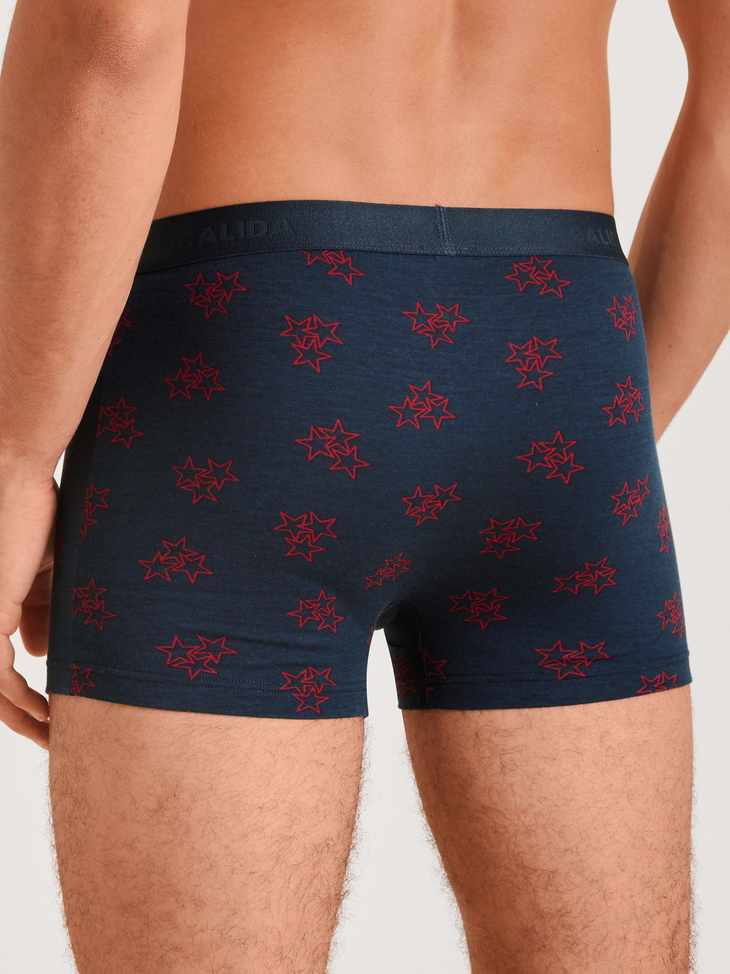 Boxer Brief