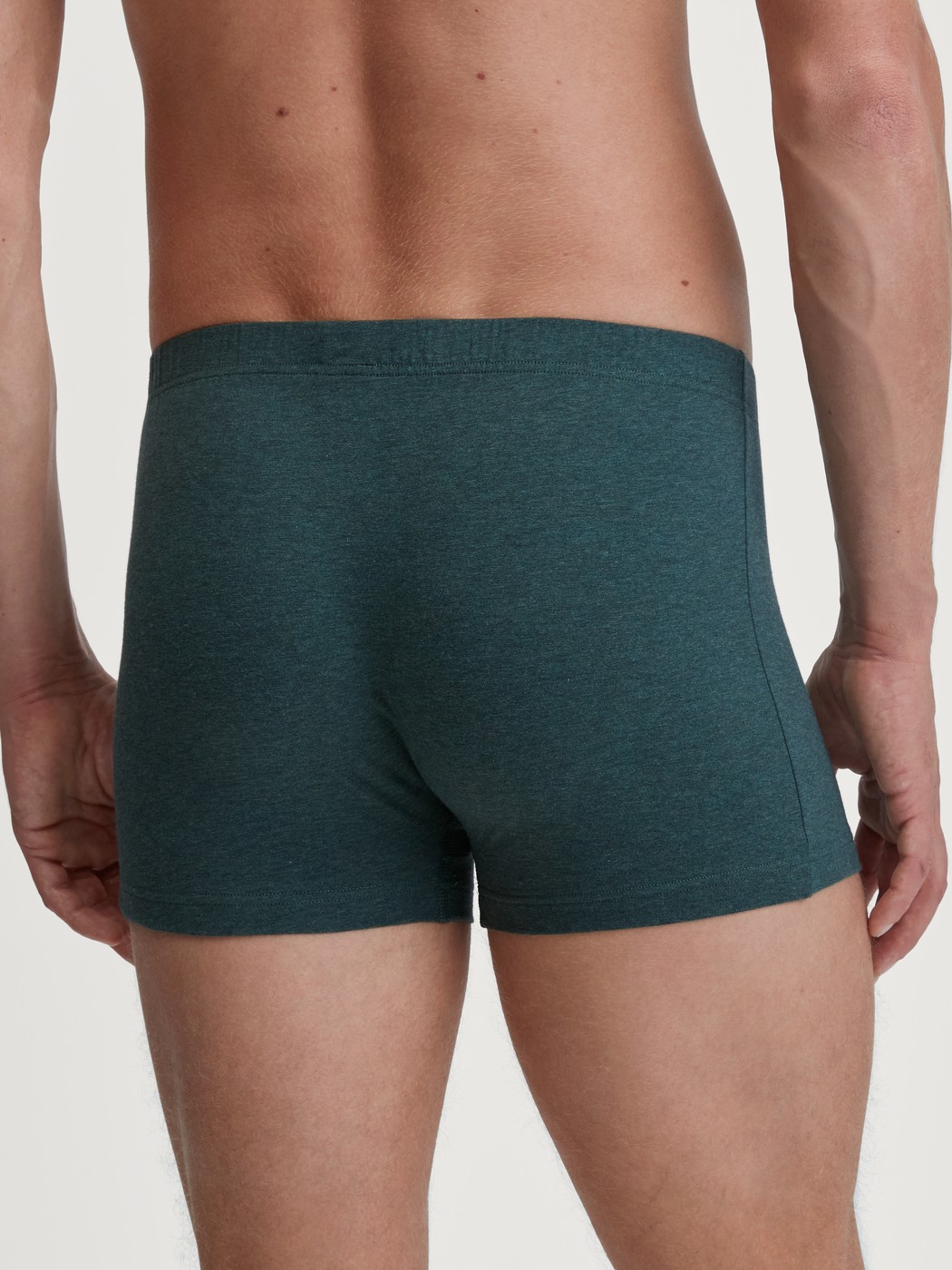 Herren-Model trägt Boxer Brief aus Baumwolle in Grün, Einfarbig aus Serie Cotton Sporty von CALIDA, Rückansicht