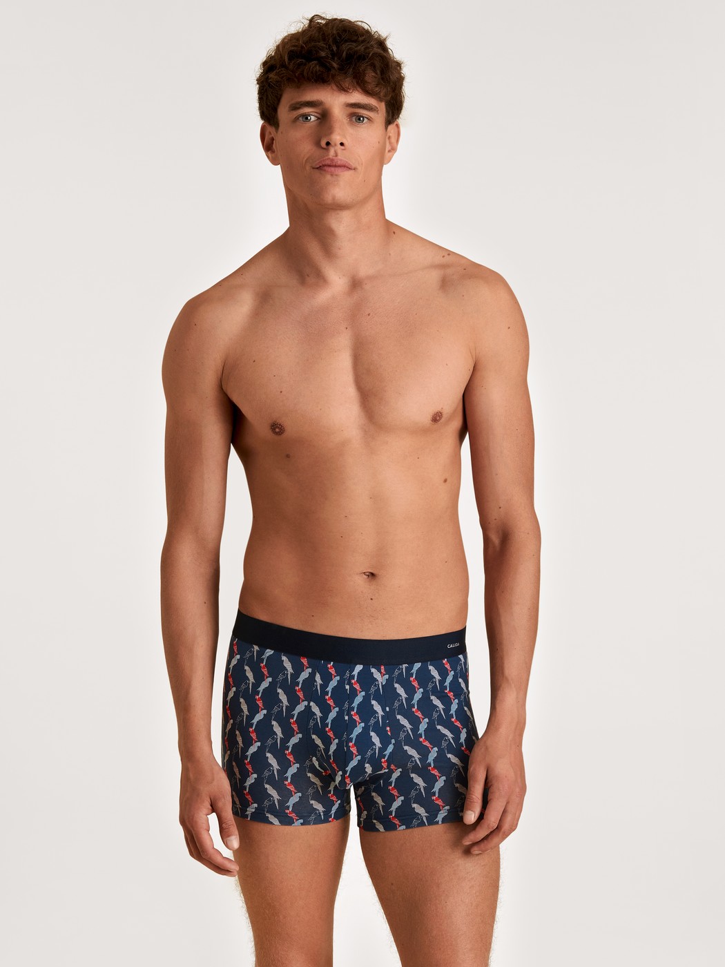 Boxer Brief mit Softgummibund