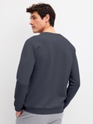 Men model is wearing Sweatshirt made of Cotton in Grey, Unicoloured from the RMX Lounge Casual series by CALIDA, Back view