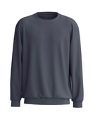Men - Sweatshirt made of Cotton in Grey, Unicoloured, from the RMX Lounge Casual series by CALIDA