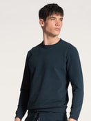 Pullover dark sapphire