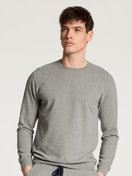 Sweatshirt carbon melé