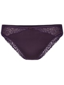 Culotte nightshade