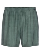 Jersey-Boxershorts ohne Eingriff dark glen