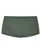 Panty, regular cut laurel green