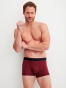 Le mannequin Homme porte le/la Boxer brief en Coton de couleur Rouge, Unicolore, de la série Cotton Stretch de CALIDA, Tenue