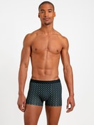 Boxer Brief