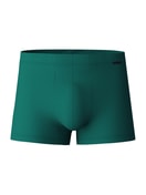 Boxer brief with Quick Dry Effect nevada green