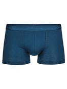 Boxer brief saragossa blue