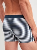 Herren-Model trägt Boxer Brief mit Softgummibund aus Baumwolle in Blau, Gestreift aus Serie Grafic Cotton von CALIDA, Rückansicht