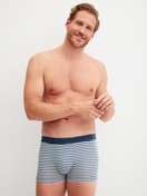 Herren-Model trägt Boxer Brief mit Softgummibund aus Baumwolle in Blau, Gestreift aus Serie Grafic Cotton von CALIDA, Outfit