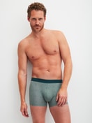 Herren-Model trägt Boxer Brief mit Softgummibund aus Baumwolle in Grün, Gemustert aus Serie Grafic Cotton von CALIDA, Outfit