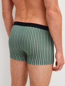 Le mannequin Homme porte le/la Boxer, lot de 3 en Coton de couleur Vert, Rayée, de la série Natural Benefit de CALIDA, Vue arrière
