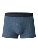 Boxer placid blue