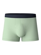 Boxer Brief iris green