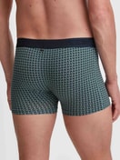 Herren-Model trägt Boxer Brief mit Softgummibund aus TENCEL™ in Grün, Gemustert aus Serie Focus Trend von CALIDA, Rückansicht