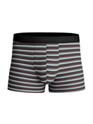 Herren - Boxer Brief mit Softgummibund aus Lyocell in Braun, Gestreift aus Serie Focus Trend von CALIDA