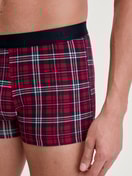 Men model is wearing Boxer brief made of Cotton in Red, Patterned from the Family & Friends series by CALIDA, Detail