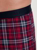 Men model is wearing Boxer brief made of Cotton in Red, Patterned from the Family & Friends series by CALIDA, Detail