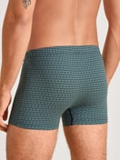 Boxer Brief