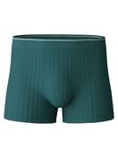 Boxer brief, girovita elastico philo green