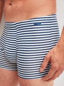 Le mannequin Homme porte le/la Boxer brief en Coton de couleur Bleu, Rayée, de la série Grafic Cotton de CALIDA, Détail