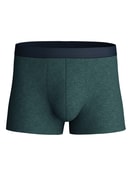 Herren - Boxer Brief mit Softgummibund aus Baumwolle in Grün, Einfarbig aus Serie Cotton Sporty von CALIDA