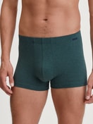 Herren-Model trägt Boxer Brief aus Baumwolle in Grün, Einfarbig aus Serie Cotton Sporty von CALIDA, Vorderansicht