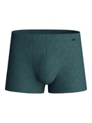 Herren - Boxer Brief aus Baumwolle in Grün, Einfarbig aus Serie Cotton Sporty von CALIDA
