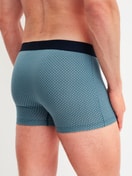 Le mannequin Homme porte le/la Boxer brief en Coton de couleur Bleu, À motifs, de la série Cotton Code Design de CALIDA, Vue arrière