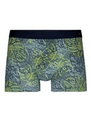 Boxer Brief mit Softgummibund laurel green