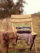 Donna - Pantaloni pigiama in 100% cotone di colore Rosa, Floreale, della serie Favourites Botanic di CALIDA, Dettaglio