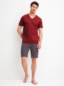 Herren-Model trägt Kurz-Pyjama aus 100% Baumwolle in Rot, Gestreift aus Serie Cotton Special von CALIDA, Vorderansicht